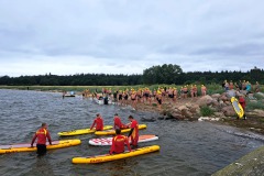 Bild-6